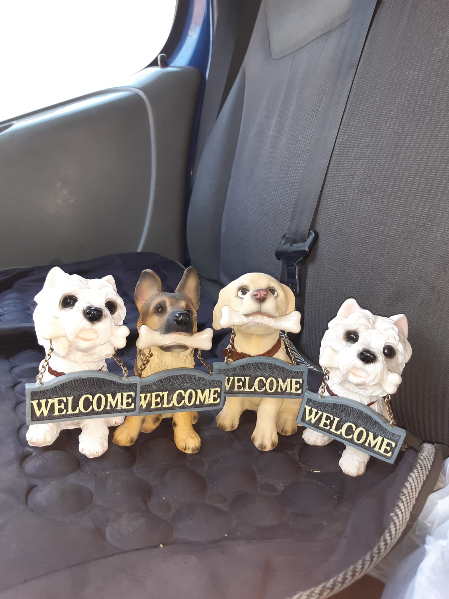 Perritos decorativos welcome